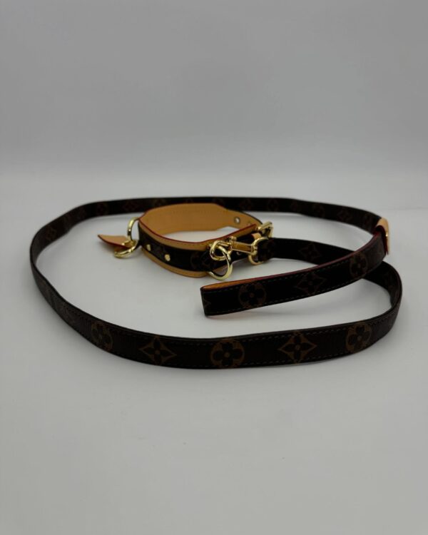 Dog Leash PM