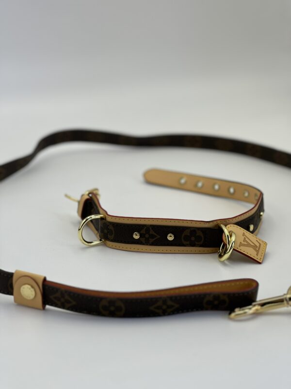 Baxter PM pet collar and leash – Brown/Beige/Gold